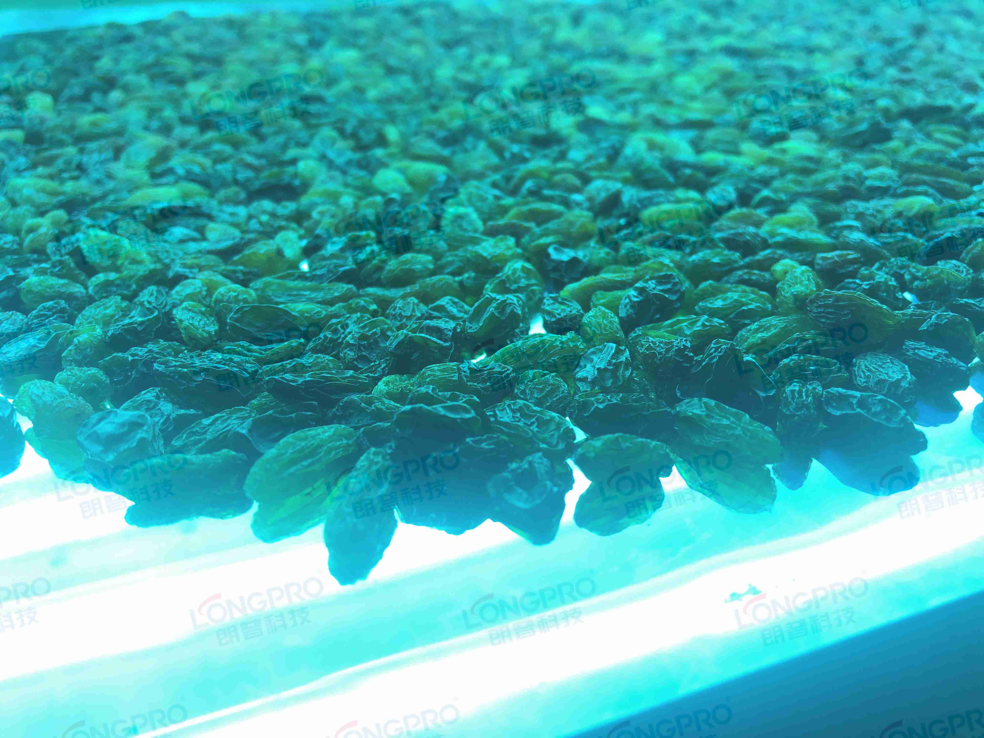 食品細菌超標怎么解決？utf-8