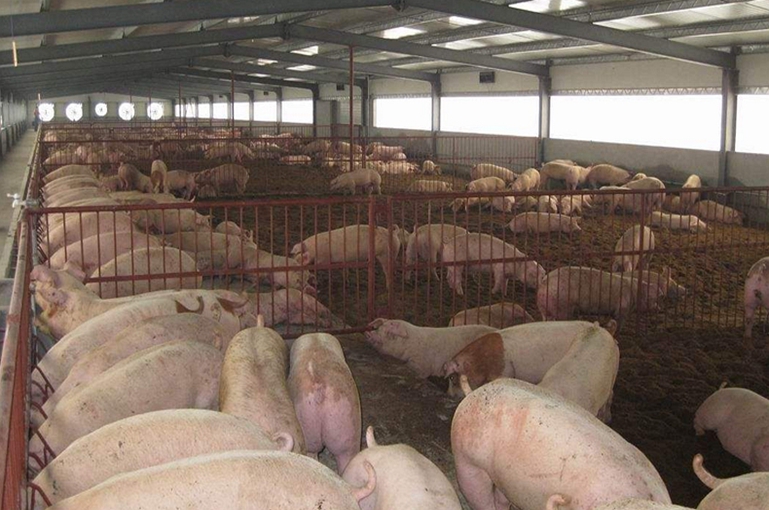 養(yǎng)殖場適合用紫外線消毒燈嗎？